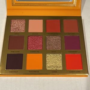 Ace beaute “FALLING FOR YOU” eyeshadow palette
